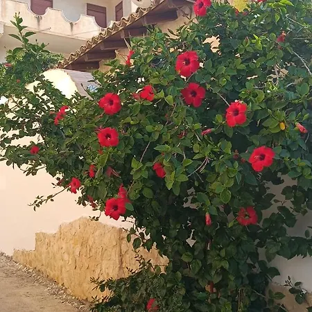 Al Faro Bed & Breakfast Realmonte